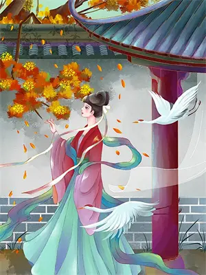 银魂夜兔的寿命是多少年